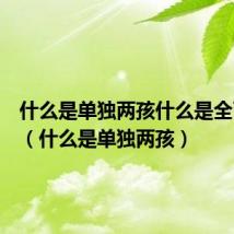 什么是单独两孩什么是全面两孩(什么是单独两孩)