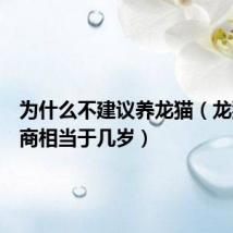 为什么不建议养龙猫(龙猫的智商相当于几岁)