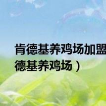 肯德基养鸡场加盟（肯德基养鸡场）