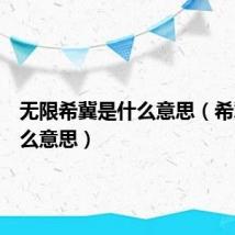 无限希冀是什么意思(希冀是什么意思)