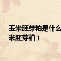 玉米胚芽粕是什么（玉米胚芽粕）