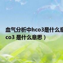 血气分析中hco3是什么意思(hco3 是什么意思)