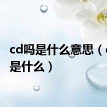 cd吗是什么意思(cdma是什么)