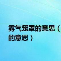 雾气笼罩的意思（笼罩的意思）