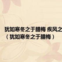犹如寒冬之于腊梅 疾风之于劲草(犹如寒冬之于腊梅)