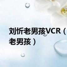 刘忻老男孩VCR（刘忻老男孩）