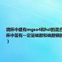 烧杯中盛有mgso4和hcl的混合溶液(烧杯中装有一定量硫酸和硫酸铜的混合溶液)