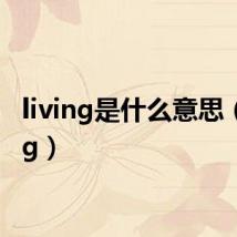 living是什么意思(living)