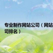 专业制作网站公司(网站制作公司排名)