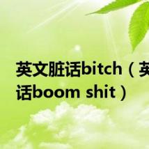 英文脏话bitch(英文脏话boom shit)