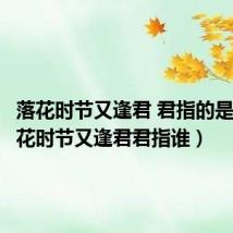 落花时节又逢君 君指的是谁(落花时节又逢君君指谁)