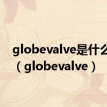 globevalve是什么阀门(globevalve)
