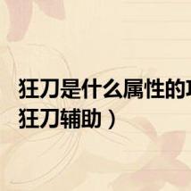 狂刀是什么属性的攻击（狂刀辅助）