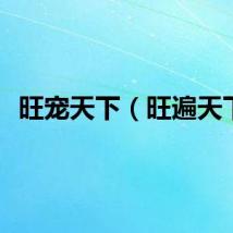旺宠天下（旺遍天下）