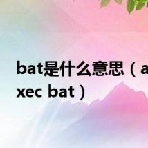 bat是什么意思(autoexec bat)