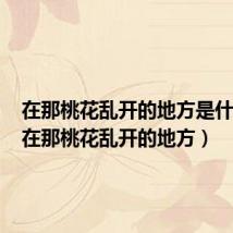 在那桃花乱开的地方是什么歌(在那桃花乱开的地方)