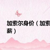 加索尔身价（加索尔年薪）