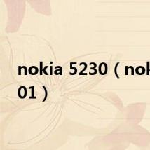 nokia 5230(nokiac501)