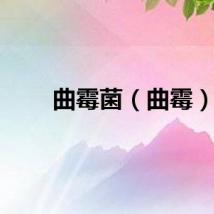 曲霉菌（曲霉）