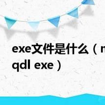exe文件是什么(miniqqdl exe)