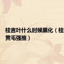 桂言叶什么时候黑化（桂言叶被黄毛强推）