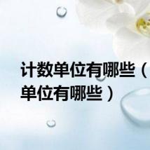计数单位有哪些（计量单位有哪些）