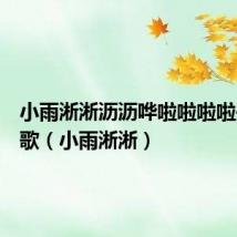 小雨淅淅沥沥哗啦啦啦啦是什么歌(小雨淅淅)