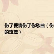 伤了爱情伤了你歌曲(伤了爱情的玫瑰)