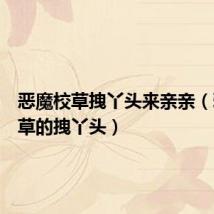 恶魔校草拽丫头来亲亲(邪恶校草的拽丫头)