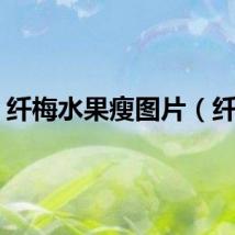 纤梅水果瘦图片（纤梅）