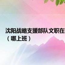 沈阳战略支援部队文职在哪上班(哪上班)