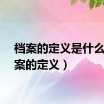档案的定义是什么（档案的定义）