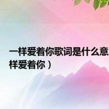 一样爱着你歌词是什么意思（一样爱着你）