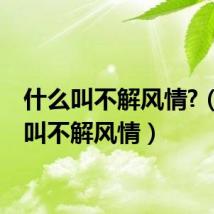 什么叫不解风情?(什么叫不解风情)
