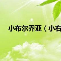 小布尔乔亚（小右）