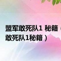 盟军敢死队1 秘籍(盟军敢死队1秘籍)