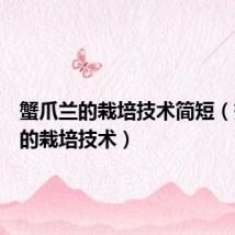 蟹爪兰的栽培技术简短(蟹爪兰的栽培技术)