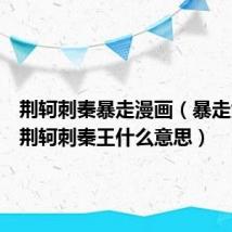 荆轲刺秦暴走漫画(暴走大事件荆轲刺秦王什么意思)