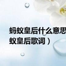 蚂蚁皇后什么意思（蚂蚁皇后歌词）