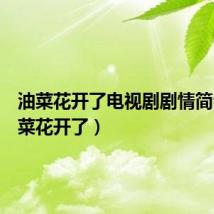 油菜花开了电视剧剧情简介(油菜花开了)