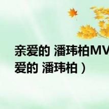 亲爱的 潘玮柏MV(亲爱的 潘玮柏)