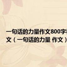 一句话的力量作文800字初中作文（一句话的力量 作文）