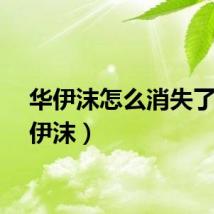 华伊沫怎么消失了（华伊沫）