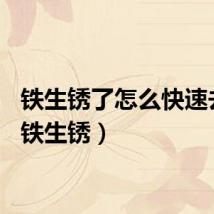 铁生锈了怎么快速去除（铁生锈）