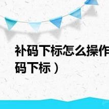 补码下标怎么操作（补码下标）