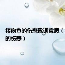 接吻鱼的伤悲歌词意思（接吻鱼的伤悲）