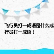 飞行员打一成语是什么成语(飞行员打一成语)