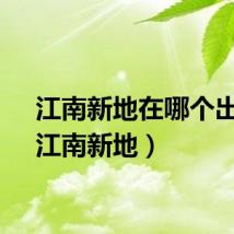 江南新地在哪个出口（江南新地）