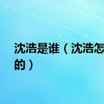 沈浩是谁（沈浩怎么死的）