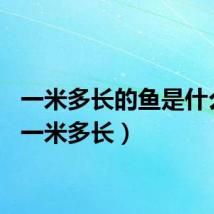 一米多长的鱼是什么鱼(一米多长)